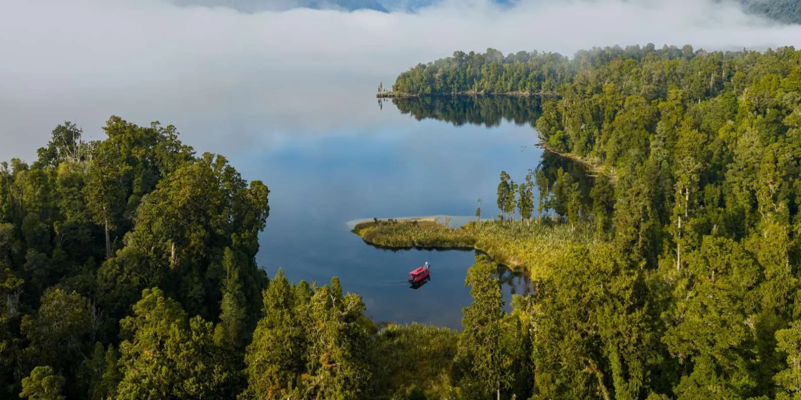 Rainforest shoreline and lake bays from above