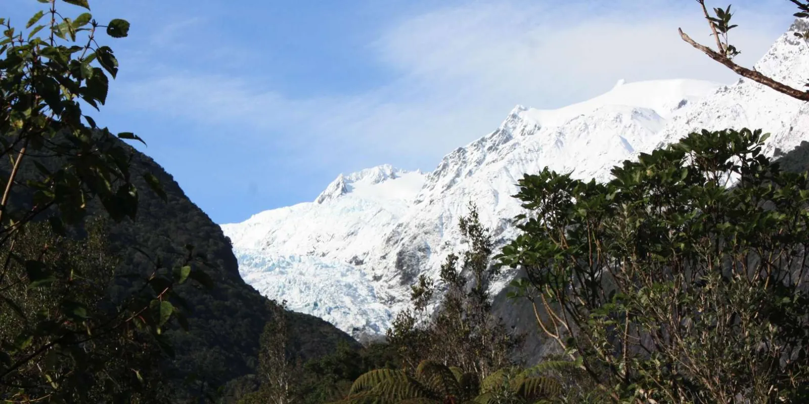 Glacier visible beyond trees